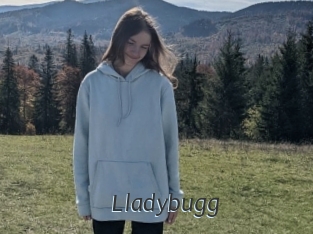 Lladybugg