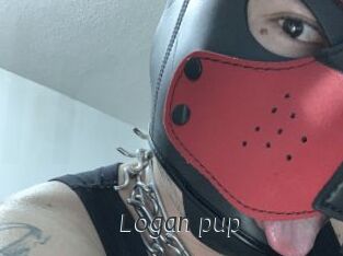Logan_pup