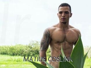 MATIUS_COSLINK