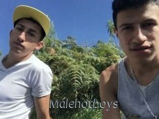 Malehotboys