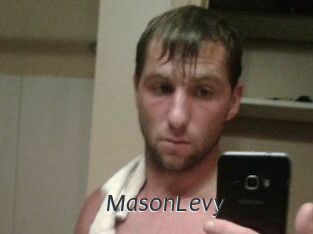 Mason_Levy