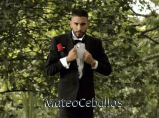 MateoCeballos