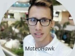 MateoHawk
