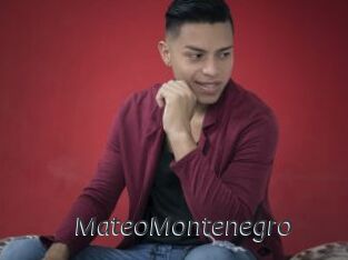 MateoMontenegro