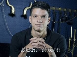 MaxHamintonn