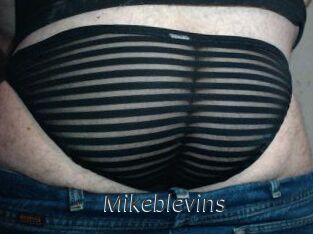 Mikeblevins