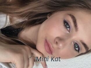 Mini_Kat