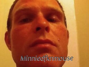 Minniedfknmouse
