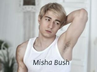 Misha_Bush
