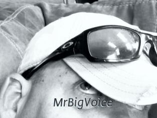 MrBigVoice