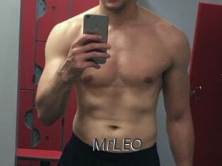 MrLEO