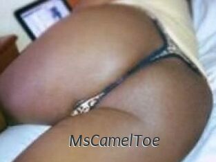 MsCamelToe