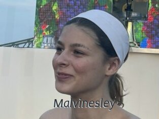 Malvinesley