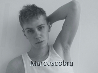 Marcuscobra