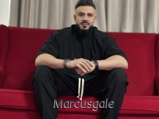 marcusgale Ligne Rose