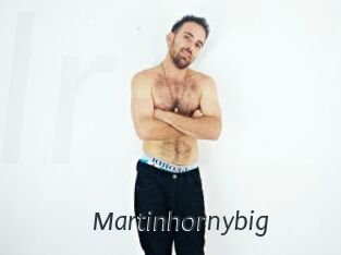 Martinhornybig