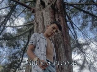 Mathew_brooks