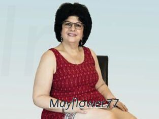 Mayflower77