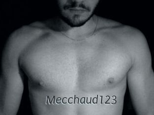 Mecchaud123
