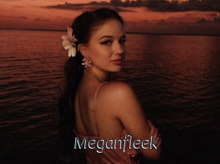 Meganfleek