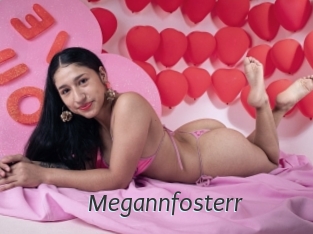Megannfosterr