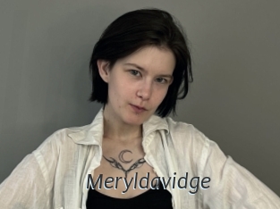 Meryldavidge