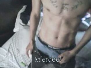 Mierdoel