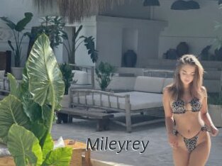 Mileyrey