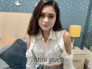 Mini_puca