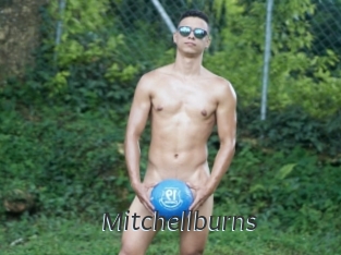 Mitchellburns