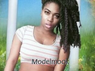 Modelmook