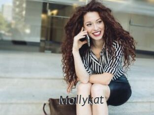 Mollykat