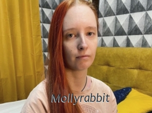 Mollyrabbit