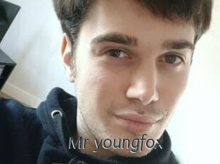 Mr_youngfox
