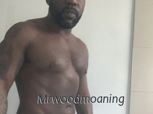 Mrwoodmoaning