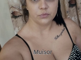 Muisor
