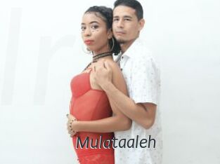 Mulataaleh