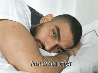 Narcisonefer
