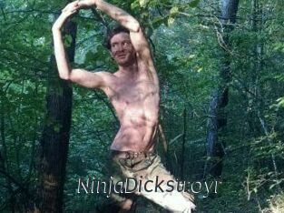 NinjaDickstroyr