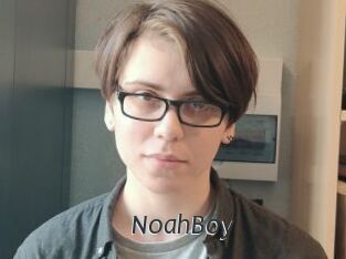 NoahBoy