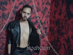 NoahCum