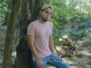 NoahDiaz