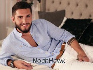 NoahHawk