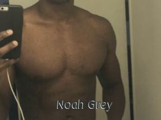 Noah_Grey