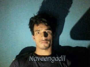 Naveengadil