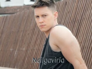 Neilgaviria