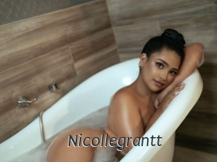 nicollegrantt Ligne Rose