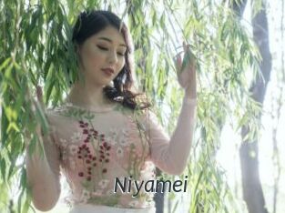 Niyamei