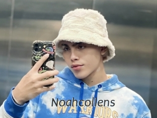 noahcollens Ligne Rose