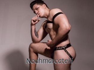 noahmarcatelli Ligne Rose